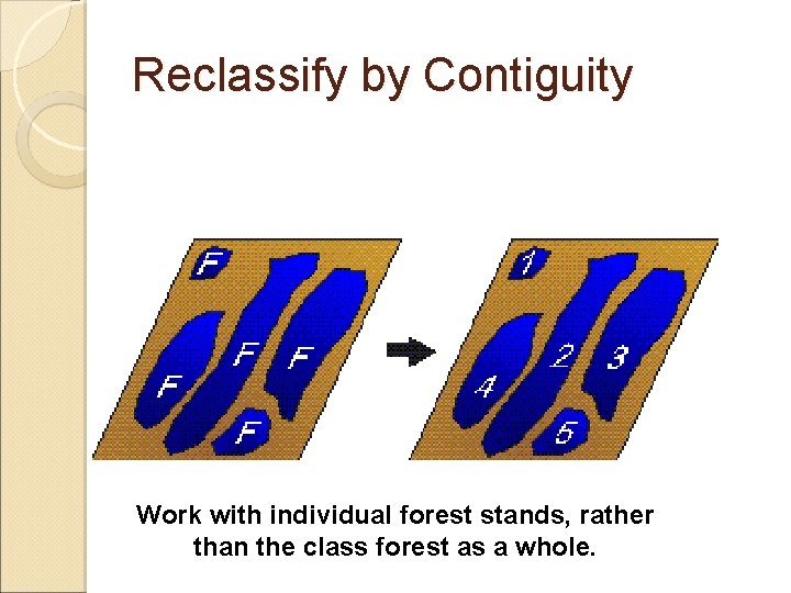 Reclassify by Contiguity Work with individual forest stands, rather than the class forest as