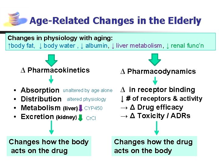 Age-Related Changes in the Elderly Changes in physiology with aging: ↑body fat, ↓ body