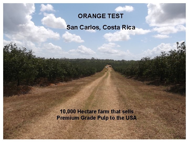 ORANGE TEST San Carlos, Costa Rica 10, 000 Hectare farm that sells Premium Grade