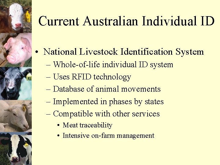 Current Australian Individual ID • National Livestock Identification System – Whole-of-life individual ID system