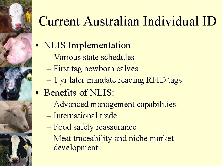 Current Australian Individual ID • NLIS Implementation – Various state schedules – First tag