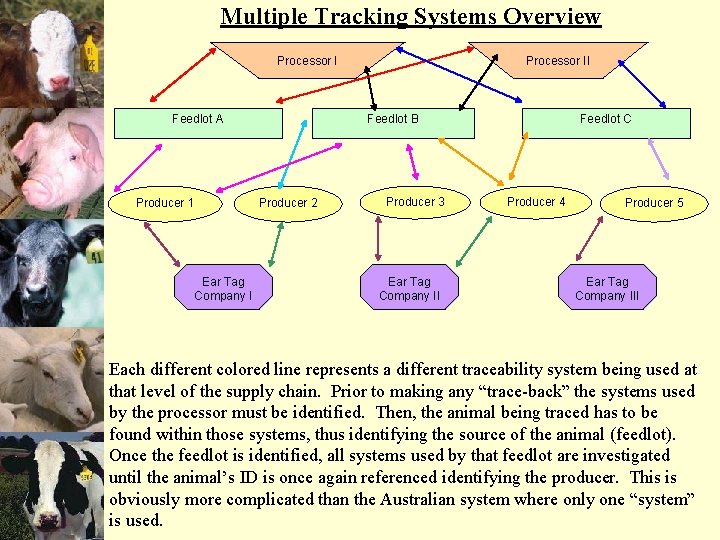 Multiple Tracking Systems Overview Processor I Feedlot A Producer 1 Ear Tag Company I