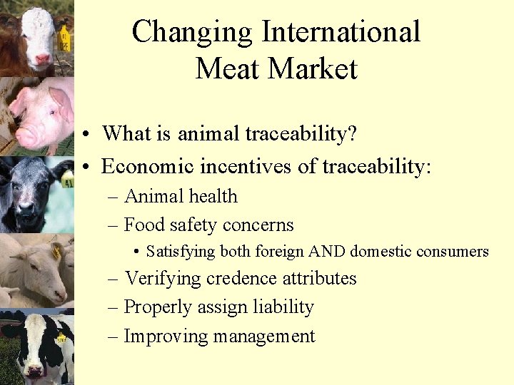 Changing International Meat Market • What is animal traceability? • Economic incentives of traceability: