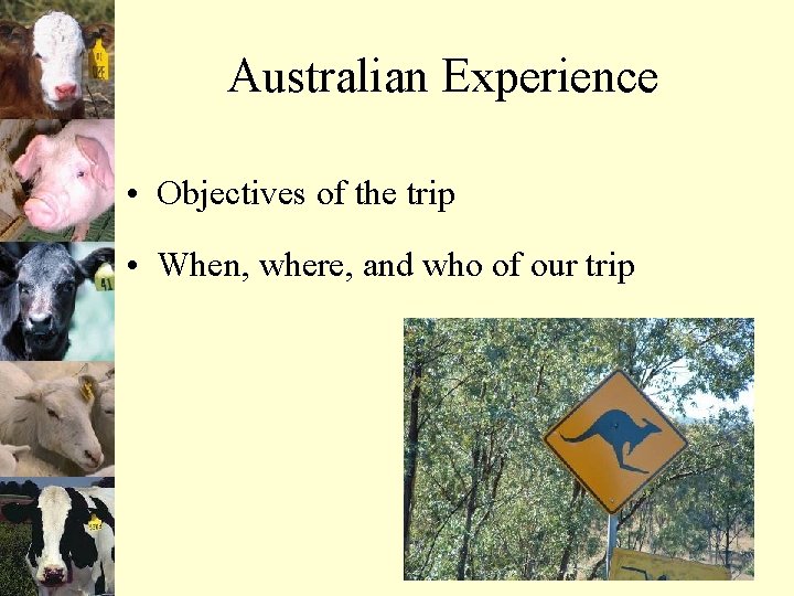 Australian Experience • Objectives of the trip • When, where, and who of our