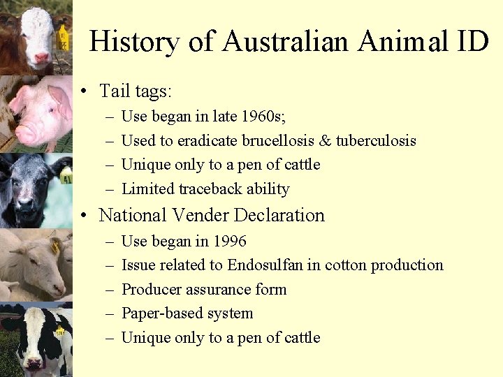 History of Australian Animal ID • Tail tags: – – Use began in late