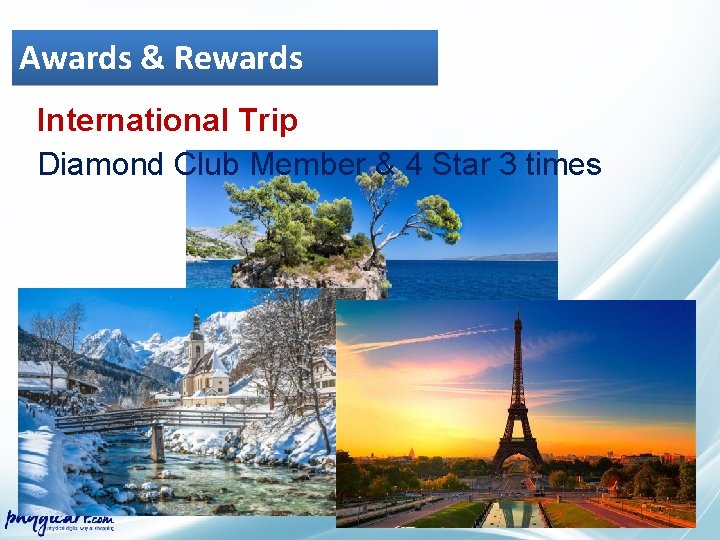 Awards & Rewards International Trip Diamond Club Member & 4 Star 3 times 