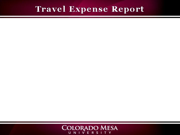 Travel Expense Report 