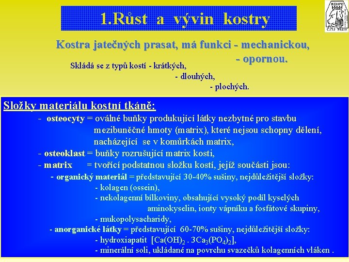 1. Růst a vývin kostry Kostra jatečných prasat, má funkci - mechanickou, - opornou.