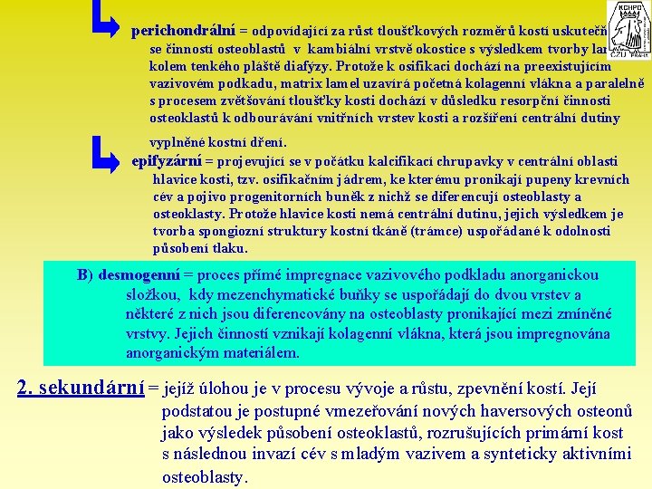 perichondrální = odpovídající za růst tloušťkových rozměrů kostí uskutečňující se činností osteoblastů v kambiální