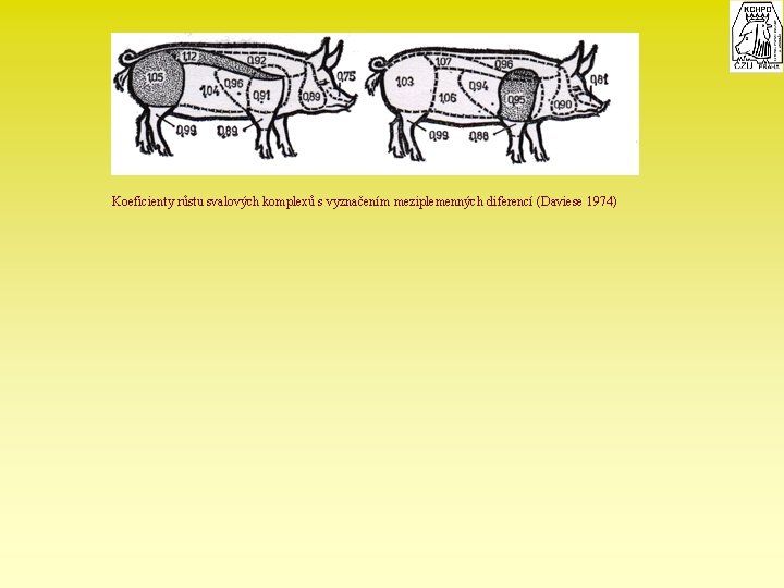 Koeficienty růstu svalových komplexů s vyznačením meziplemenných diferencí (Daviese 1974) 