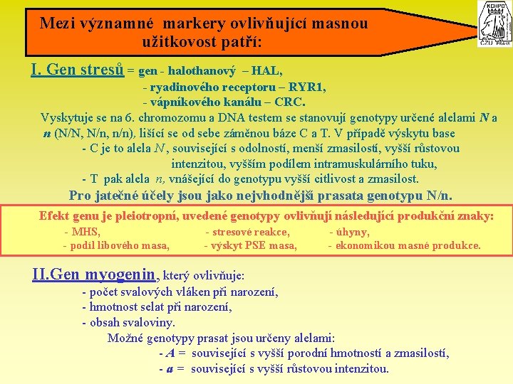  Mezi významné markery ovlivňující masnou užitkovost patří: I. Gen stresů = gen -