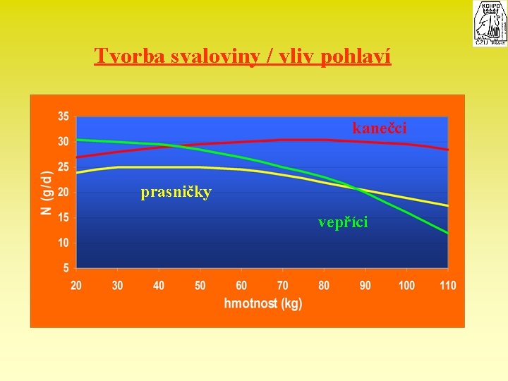 Tvorba svaloviny / vliv pohlaví kanečci prasničky vepříci 