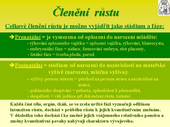 Členění růstu Celkové členění růstu je možno vyjádřit jako stádium a fáze: èPrenatální =