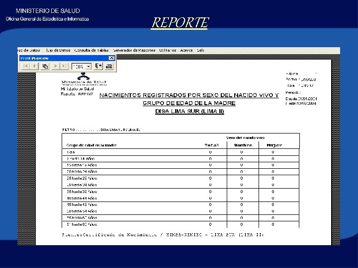 REPORTE 