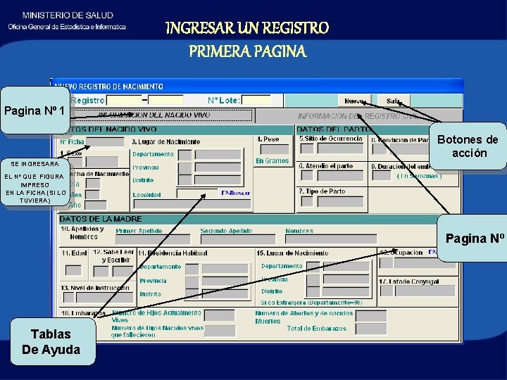 INGRESAR UN REGISTRO PRIMERA PAGINA Pagina Nº 1 Botones de acción SE INGRESARA EL