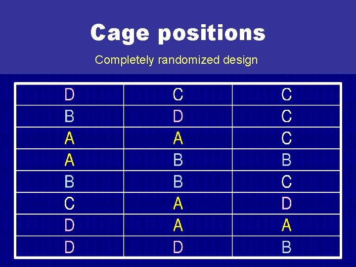 Cage positions Completely randomized design 