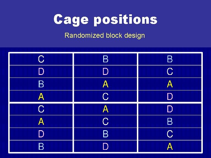 Cage positions Randomized block design 