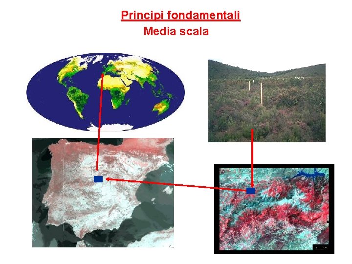 Principi fondamentali Media scala 
