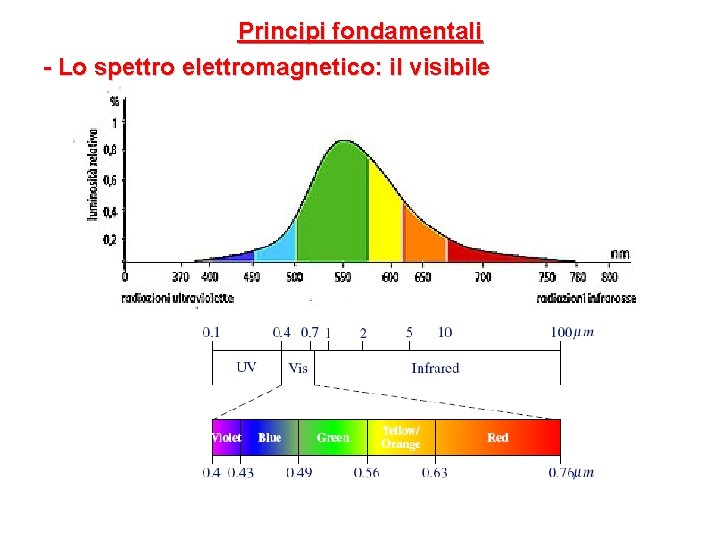 Principi fondamentali - Lo spettro elettromagnetico: il visibile 