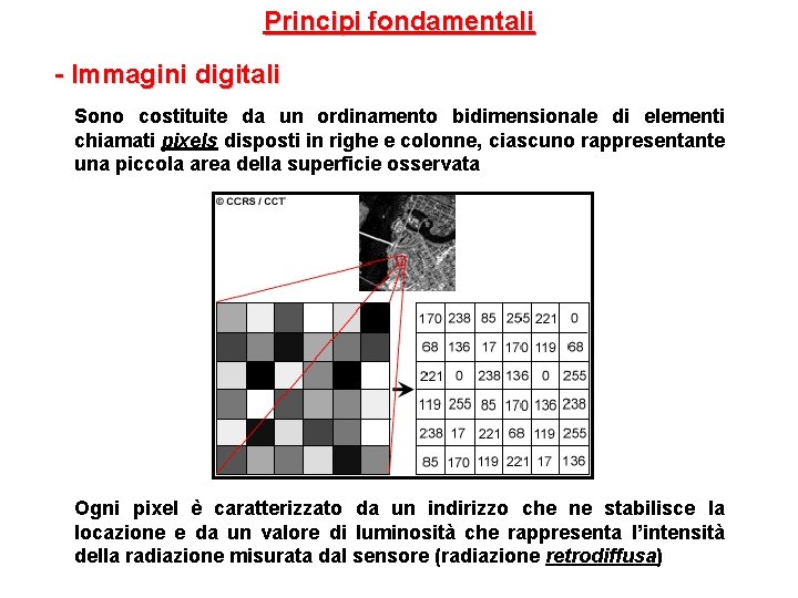 Principi fondamentali - Immagini digitali Sono costituite da un ordinamento bidimensionale di elementi chiamati