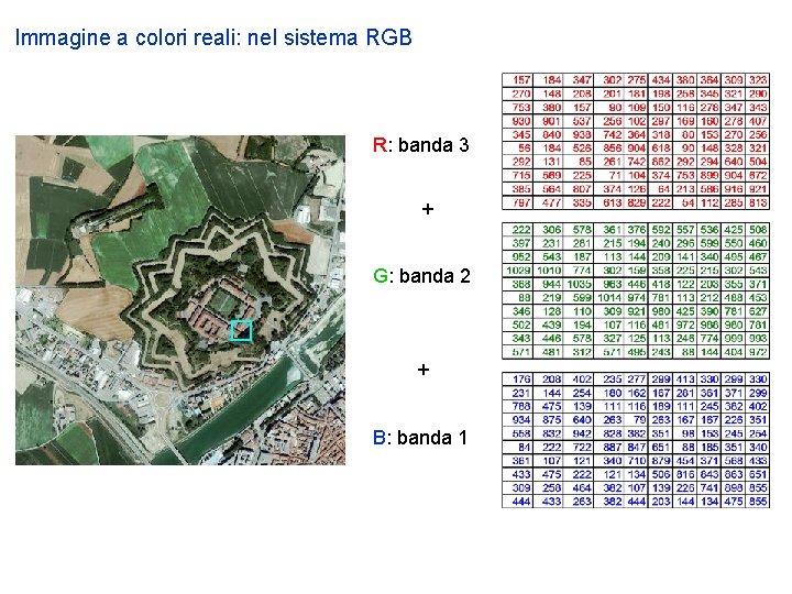 Immagine a colori reali: nel sistema RGB R: banda 3 + G: banda 2