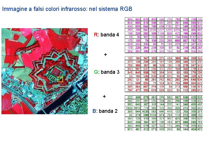 Immagine a falsi colori infrarosso: nel sistema RGB R: banda 4 + G: banda