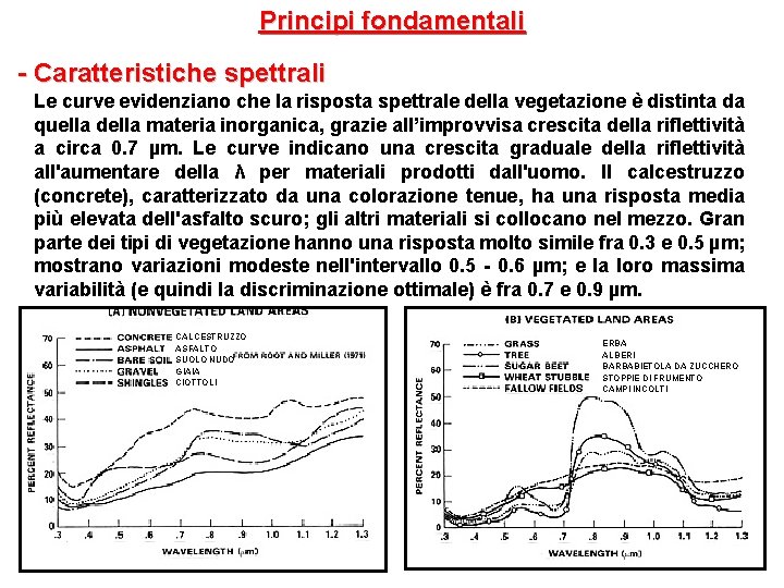 Principi fondamentali - Caratteristiche spettrali Le curve evidenziano che la risposta spettrale della vegetazione