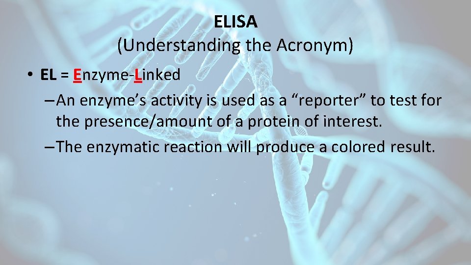 ELISA (Understanding the Acronym) • EL = Enzyme-Linked – An enzyme’s activity is used