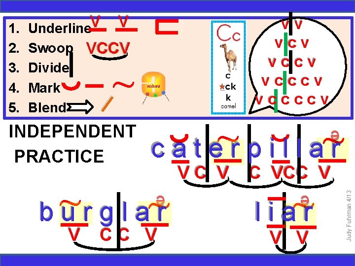 INDEPENDENT PRACTICE ~ c a t e r p i l l a~r b~