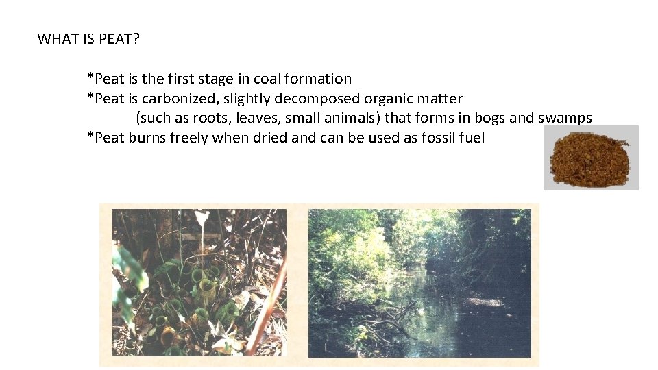 WHAT IS PEAT? *Peat is the first stage in coal formation *Peat is carbonized,