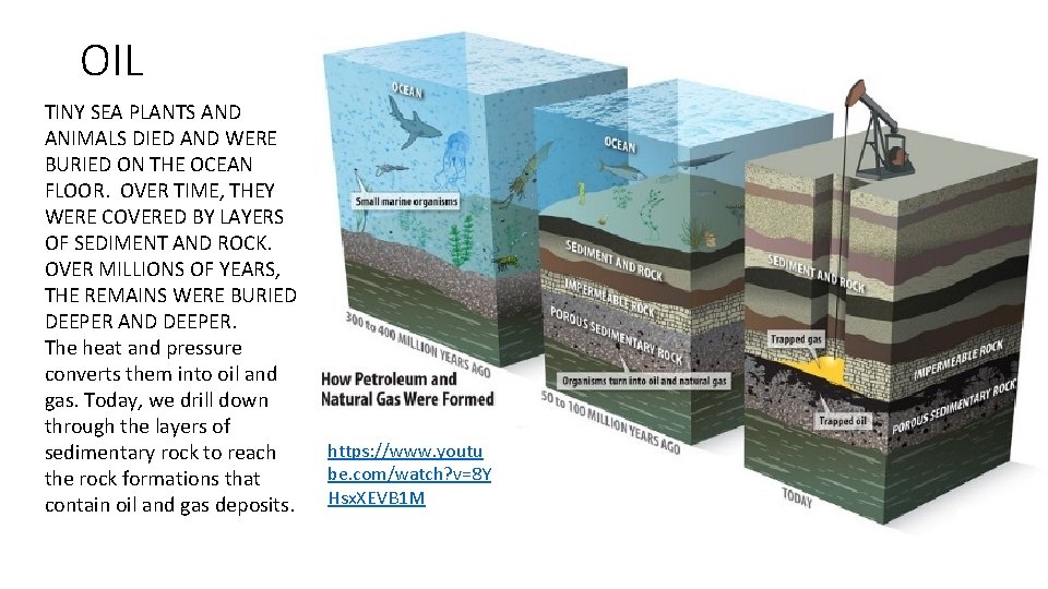 OIL TINY SEA PLANTS AND ANIMALS DIED AND WERE BURIED ON THE OCEAN FLOOR.