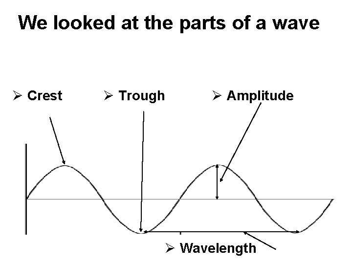 We looked at the parts of a wave Ø Crest Ø Trough Ø Amplitude