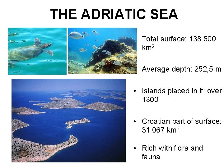 THE ADRIATIC SEA • Total surface: 138 600 km 2 • Average depth: 252,