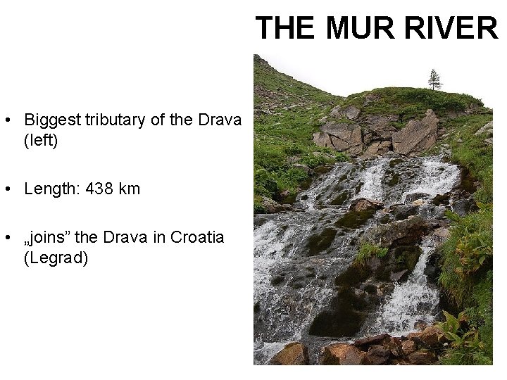 THE MUR RIVER • Biggest tributary of the Drava (left) • Length: 438 km