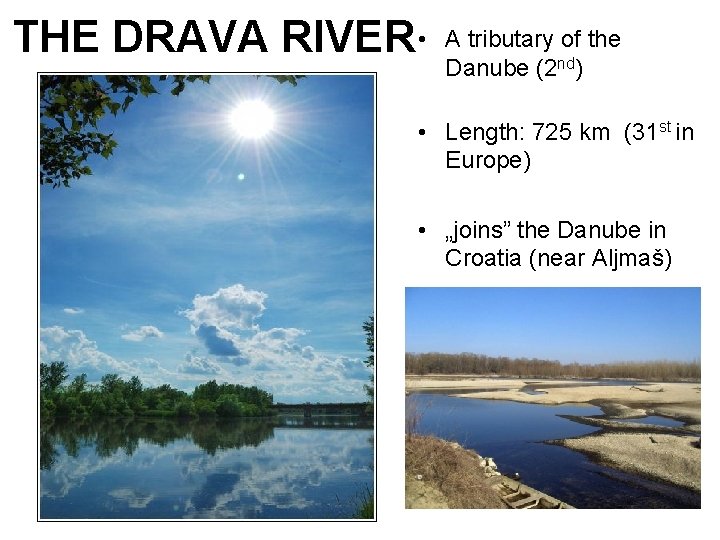 THE DRAVA RIVER • A tributary of the Danube (2 nd) • Length: 725