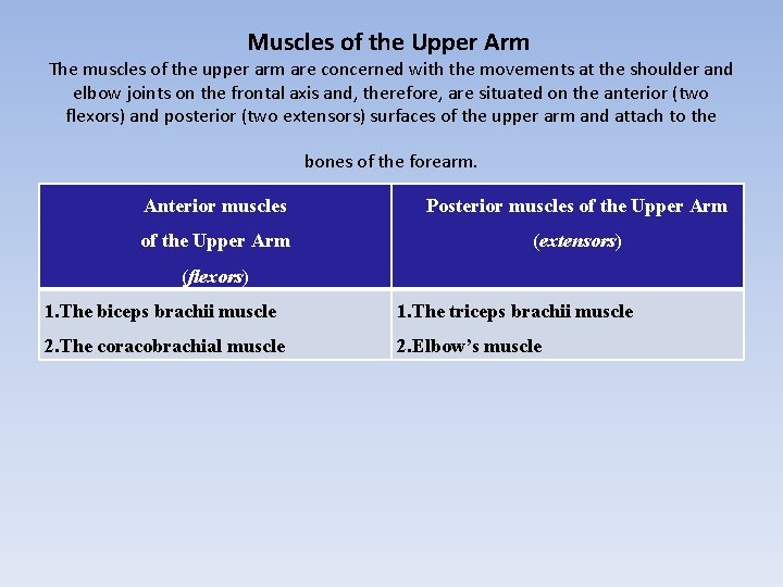 Muscles of the Upper Arm The muscles of the upper arm are concerned with