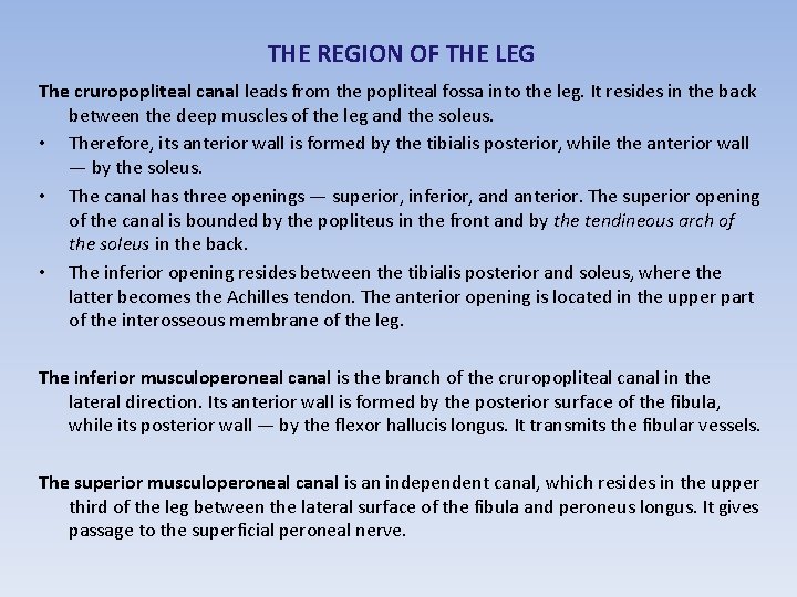 THE REGION OF THE LEG The cruropopliteal canal leads from the popliteal fossa into