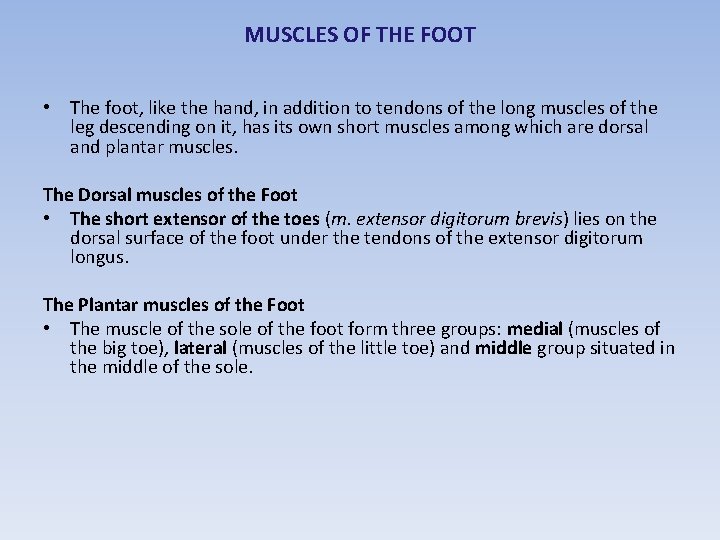 MUSCLES OF THE FOOT • The foot, like the hand, in addition to tendons