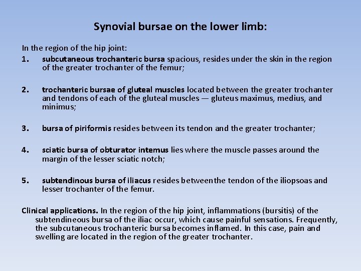 Synovial bursae on the lower limb: In the region of the hip joint: 1.