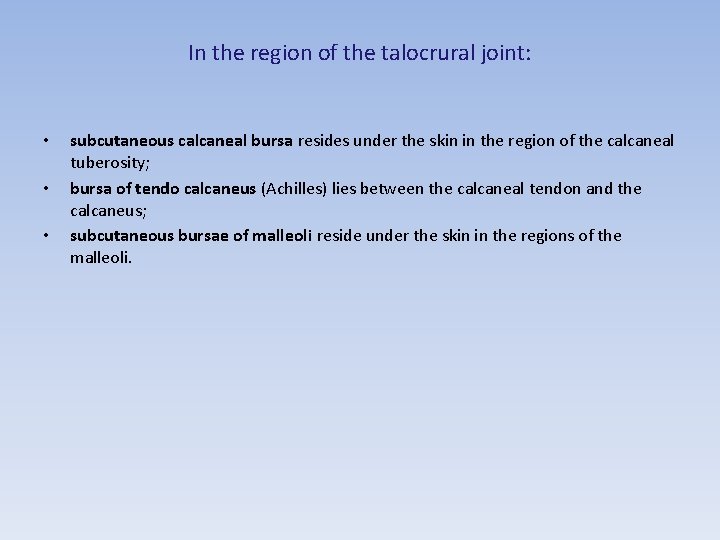 In the region of the talocrural joint: • • • subcutaneous calcaneal bursa resides