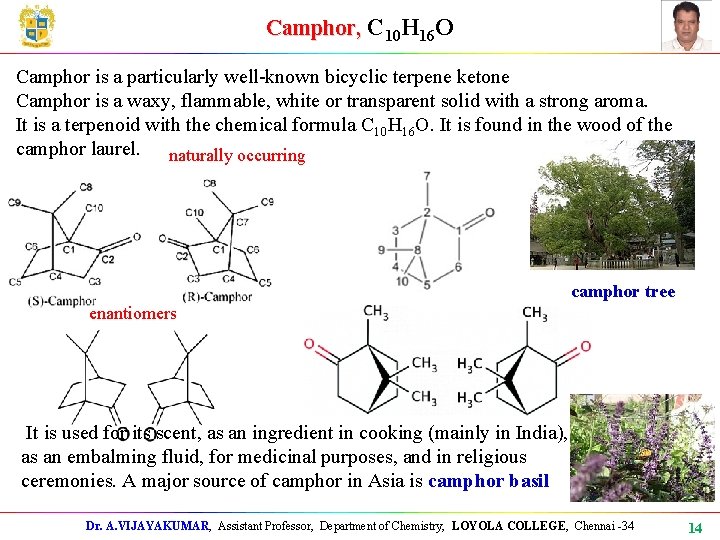 Camphor, C 10 H 16 O Camphor is a particularly well-known bicyclic terpene ketone