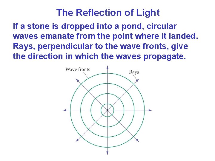 The Reflection of Light If a stone is dropped into a pond, circular waves The Reflection of Light If a stone is dropped into a pond, circular waves