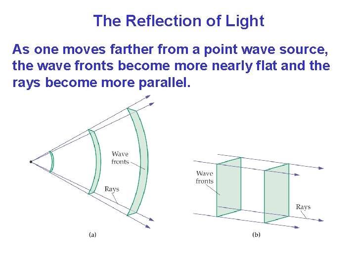 The Reflection of Light As one moves farther from a point wave source, the The Reflection of Light As one moves farther from a point wave source, the