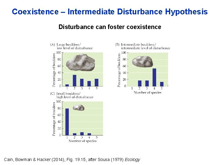 Coexistence – Intermediate Disturbance Hypothesis Disturbance can foster coexistence Cain, Bowman & Hacker (2014),