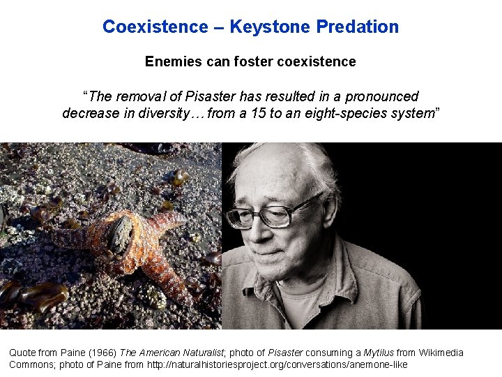 Coexistence – Keystone Predation Enemies can foster coexistence “The removal of Pisaster has resulted