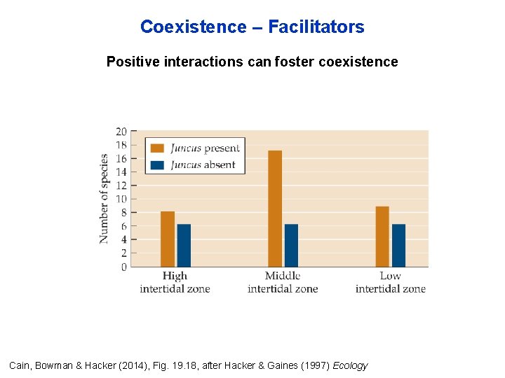 Coexistence – Facilitators Positive interactions can foster coexistence Cain, Bowman & Hacker (2014), Fig.