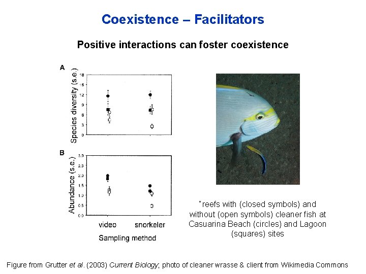 Coexistence – Facilitators Positive interactions can foster coexistence “reefs with (closed symbols) and without