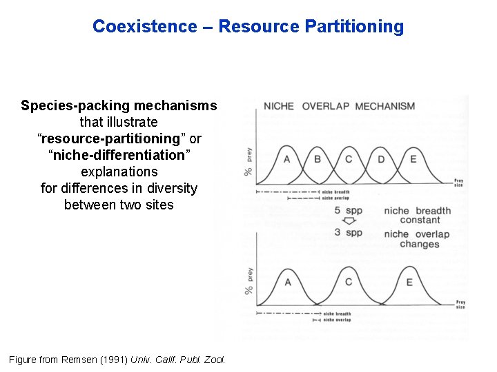 Coexistence – Resource Partitioning Species-packing mechanisms that illustrate “resource-partitioning” or “niche-differentiation” explanations for differences