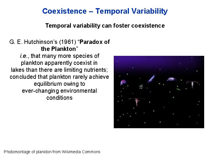 Coexistence – Temporal Variability Temporal variability can foster coexistence G. E. Hutchinson’s (1961) “Paradox