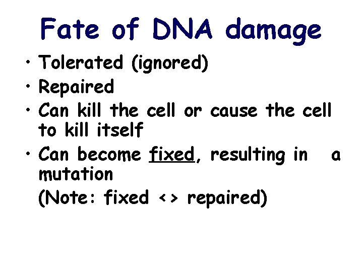 Fate of DNA damage • Tolerated (ignored) • Repaired • Can kill the cell